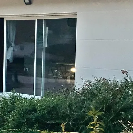 2 Pieces De Jade Dans A *