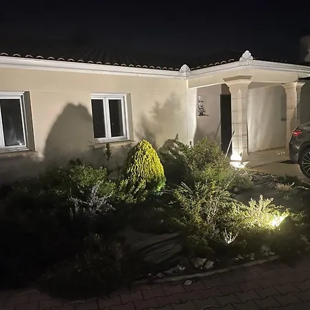 2 Pieces De Jade Dans A *